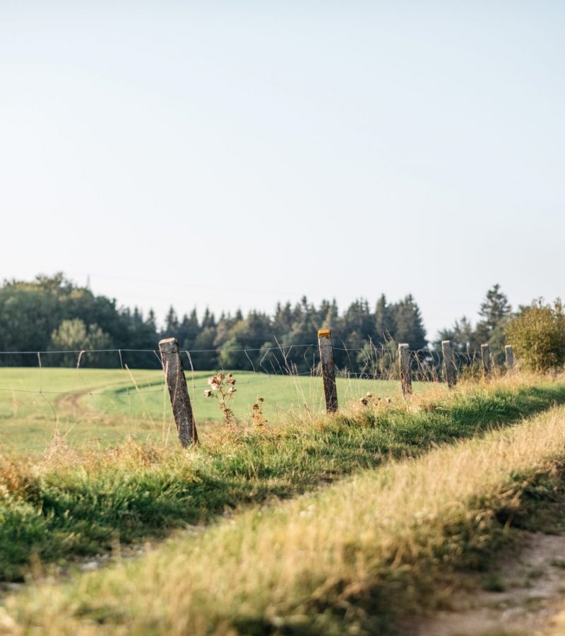 Wandern auf der Alb